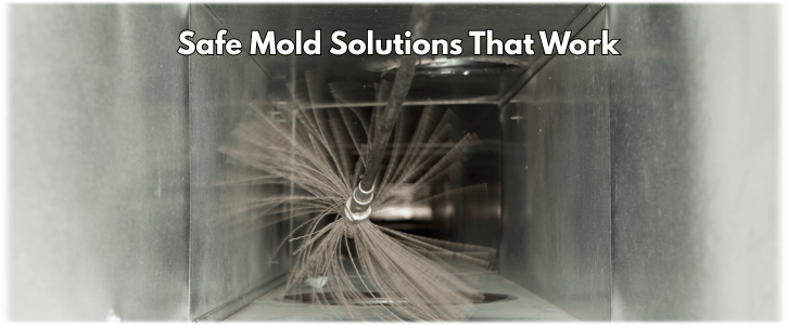 Air Duct Mold Removal in Humble