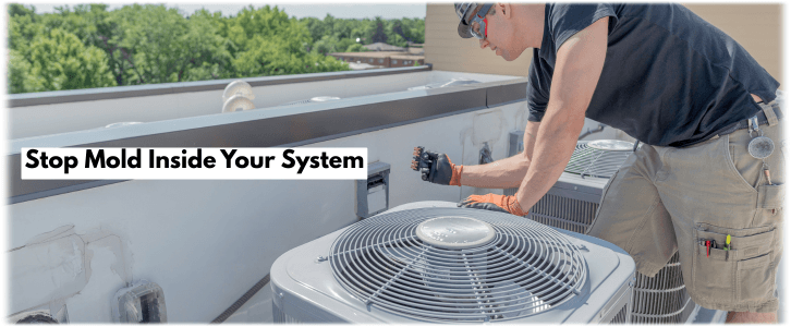 HVAC Mold Removal Humble
